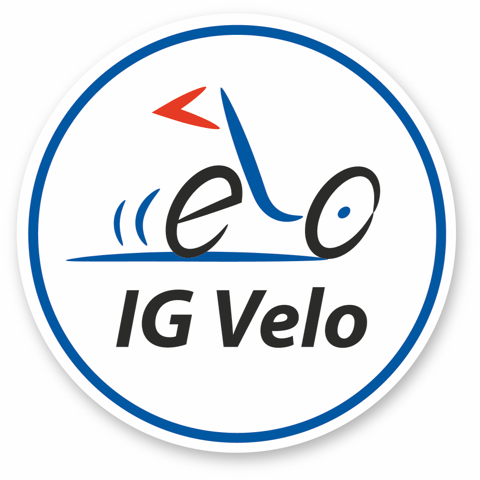 IGV-Logo